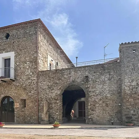 Signora Cinzia Torchiara